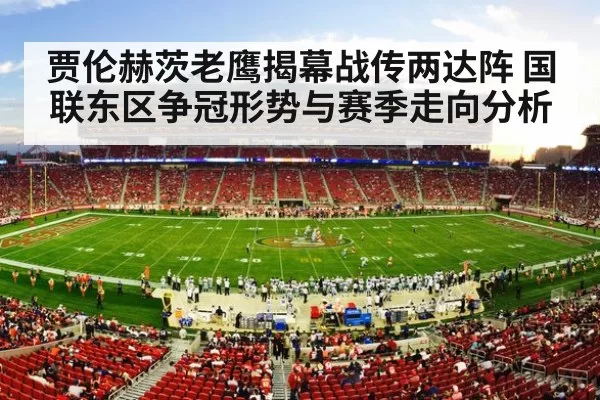 nfl stadium crowd