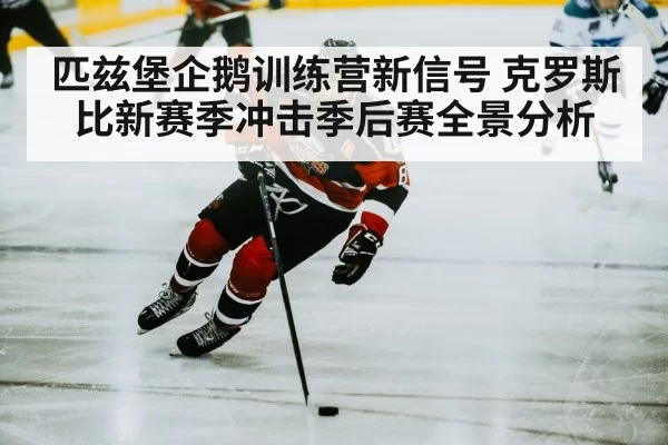 hockey player skating